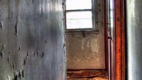 Spongia Floora - 2a.jpg