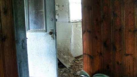 Spongia Floora - 2b.jpg