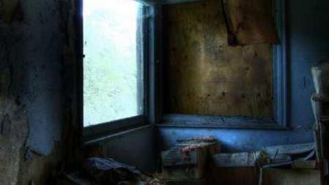 Photo from Spongia Floora