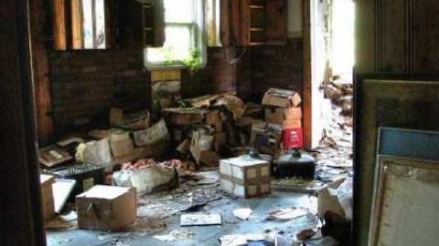 Photo from Spongia Floora