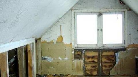 Spongia Floora - 5.jpg