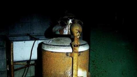 Spongia Floora - 6.jpg