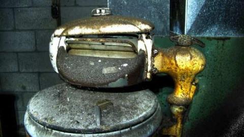 Spongia Floora - 6a.jpg