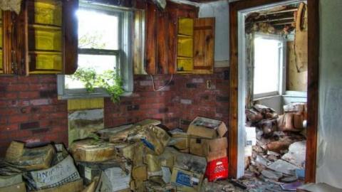 Photo from Spongia Floora