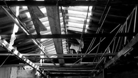 China Restaurant House photo 5