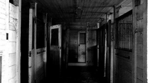 Early Sept 2012 - MagnerRobson-Home-(1860)80.jpg