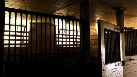 Early Sept 2012 - MagnerRobson-Home-(1860)89.jpg