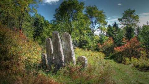 Screaming Heads - The-Screaming-Heads16.jpg