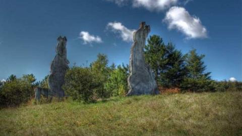 Photo from Screaming Heads