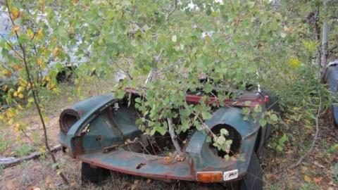 The Collection - Salvage-Yard1.jpg