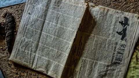 Kids and paint - Rockwood-Farm-House115.jpg