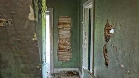 Kids and paint - Rockwood-Farm-House159.jpg