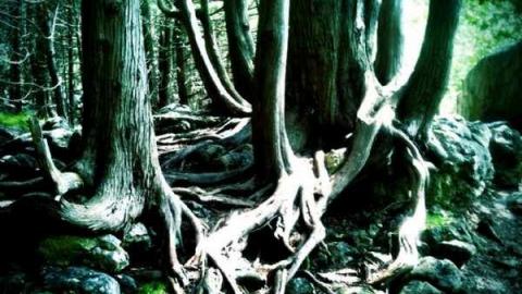 Derelict Eugenia - Eugenia-Falls--Ghost-Town141.jpg