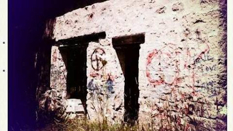 Photo from Derelict Eugenia