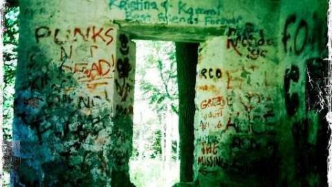 Photo from Derelict Eugenia