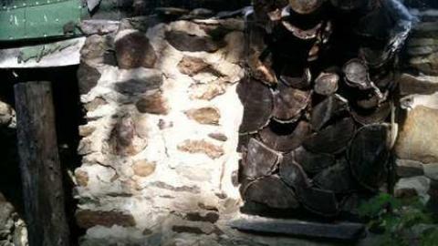 Suicide for Science  - IMG_0479.jpg