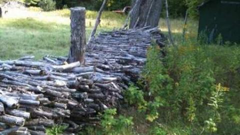 Suicide for Science  - IMG_0488.jpg