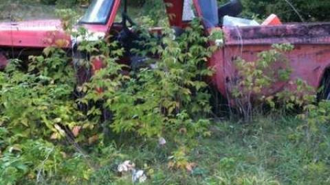 Suicide for Science  - IMG_0489.jpg