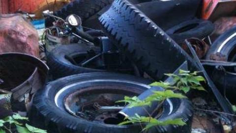 Suicide for Science  - IMG_0491.jpg