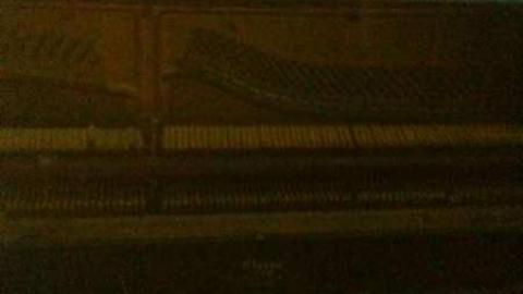 Suicide for Science  - IMG_0502.jpg