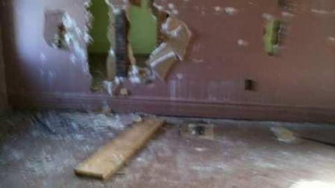 Suicide for Science  - IMG_0512.jpg