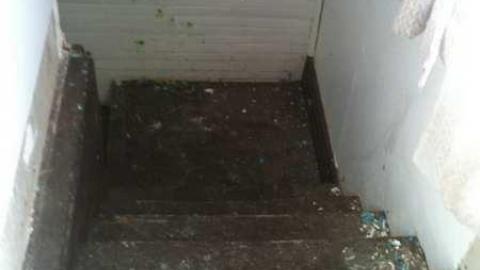 Suicide for Science  - IMG_0513.jpg