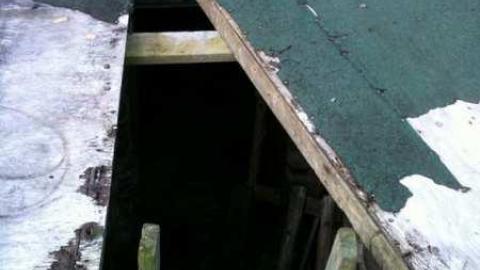 Suicide for Science  - IMG_0519.jpg