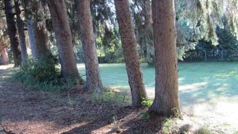 MKULTRA GRAVEYARD - MKULTRA-GRAVEYARD1.jpg