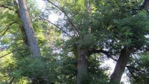 MKULTRA GRAVEYARD - MKULTRA-GRAVEYARD19.jpg