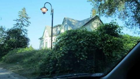 MKULTRA GRAVEYARD - MKULTRA-GRAVEYARD13.jpg