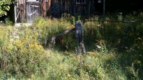 Stacky Shacky - Stack-Shack10.jpg