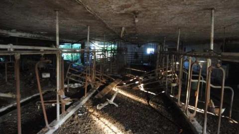 Perrys Lane Barn - Perrys-Lane8.jpg