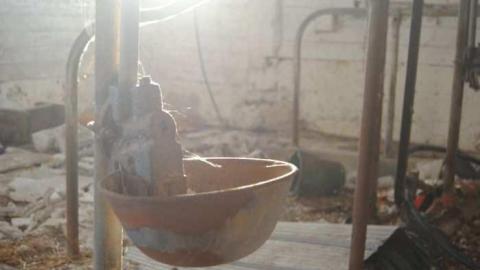 Perrys Lane Barn - Perrys-Lane12.jpg