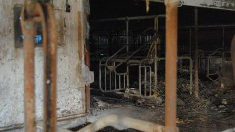 Perrys Lane Barn - Perrys-Lane14.jpg