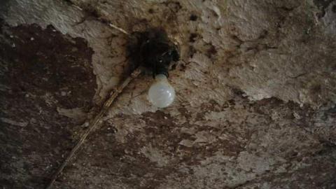 Perrys Lane Barn - Perrys-Lane16.jpg