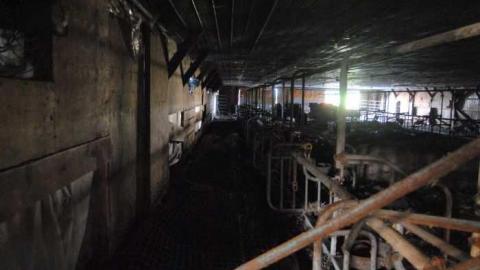 Perrys Lane Barn - Perrys-Lane1.jpg