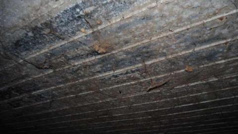 Perrys Lane Barn - Perrys-Lane18.jpg