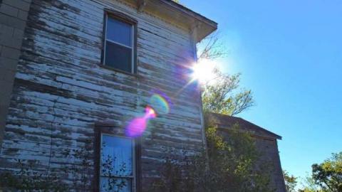 Swamp College Drop-out - Swamp-College-House1.jpg