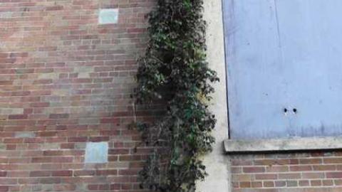 Torched factory - Greenwich-Village3.jpg