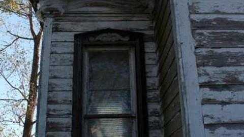 Swamp College Drop-out - Swamp-College-House7.jpg