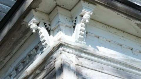 Swamp College Drop-out - Swamp-College-House8.jpg