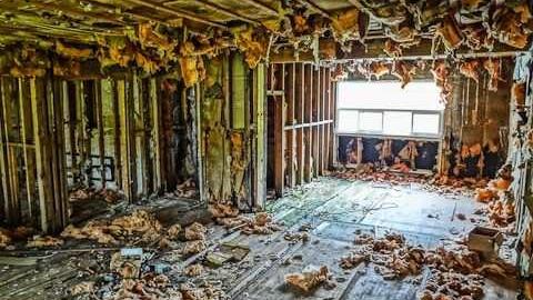 Mold museum - The-One-With-The-Gate2.jpg