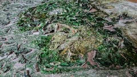 Mold museum - The-One-With-The-Gate6.jpg