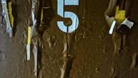 Mold museum - The-One-With-The-Gate9.jpg