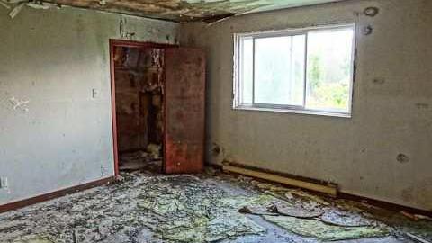 Mold museum - The-One-With-The-Gate29.jpg