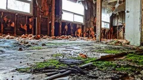 Mold museum - The-One-With-The-Gate11.jpg