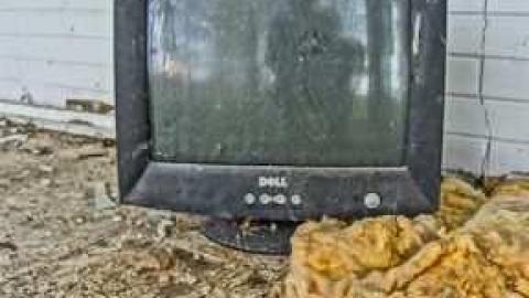 Photo from Mold museum