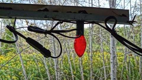 Mold museum - The-One-With-The-Gate17.jpg