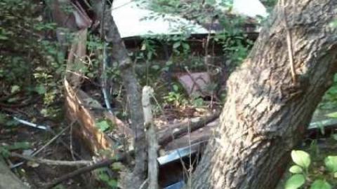 Relic in 'The Glen' - Abandoned-Wheels2.jpg