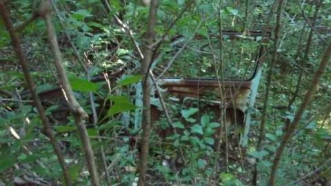 Abandoned Wheels photo 4